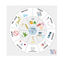 社会主义接班人