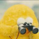 天狼星冷静的花椒