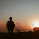 阿甘遇上西雅图