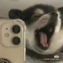 想打出冰球的太阳系