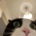 在这无人的城堡肆无忌惮的奔跑