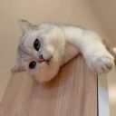 啊啊啊啊啊啊啊