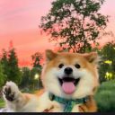 哎呀妈呀长脑子了