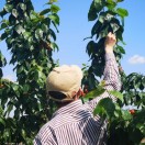 看文献的高光谱