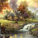 从来都不会放弃zr