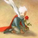 微醺我本天涯客