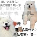 计划明天炸地球