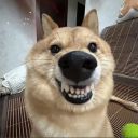 生化危机始作俑者